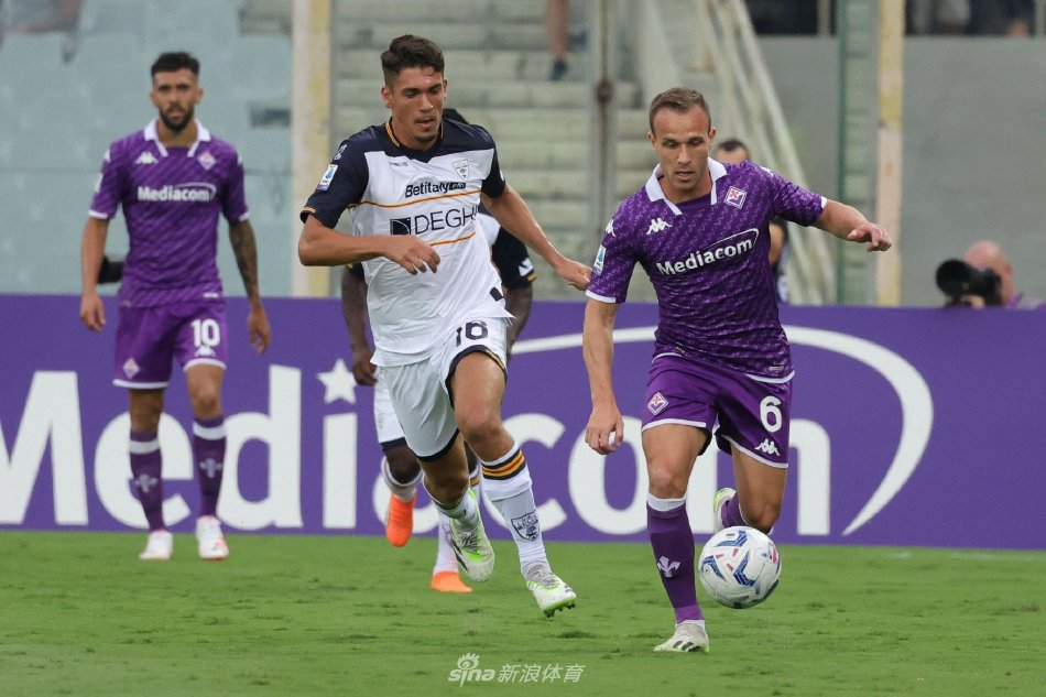 他们在防守 他们在防守